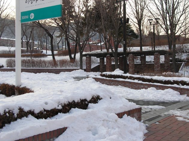 雪が積もった公園内の風景